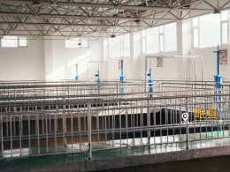 我司承建的呼和浩特盛樂(lè)國(guó)際機(jī)場(chǎng)飛行區(qū)場(chǎng)道1段標(biāo)順利通過(guò)竣工驗(yàn)收